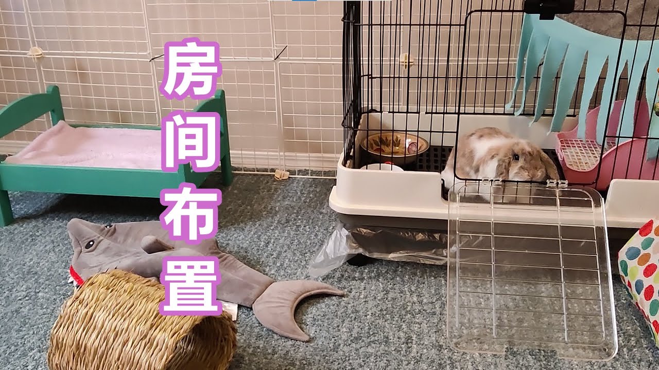 兔子慧星的房间布置/成长篇# 10/ The Bunny Comet’s Room Tour