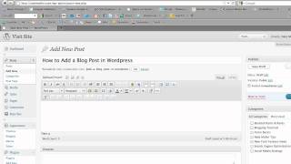 WP TUTORIAL: How To Add Blog Posts in Wordpress