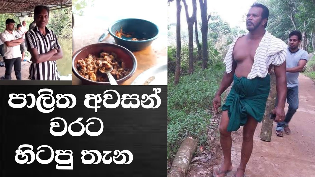 පාලිත අවසන් වරට හිටපු තැන මෙන්න
