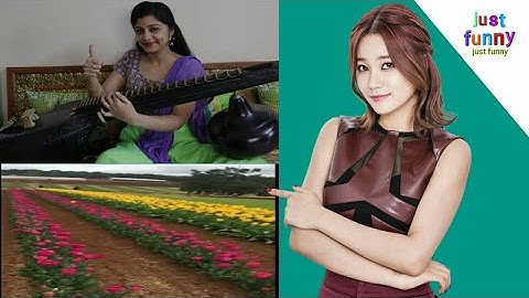 Tujh Mein Rab Dikhta Hai from Rab Ne Bana Di Jodi Movie By Veena Srivan music video video music