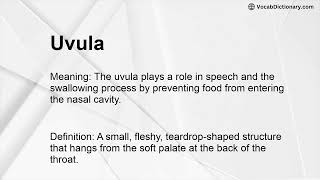 Uvula Meaning Uvula Meaning
