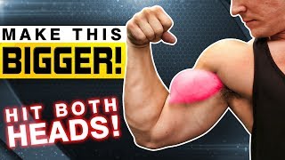 Best Biceps Exercise You’re Not Doing | BUT SHOULD BE!
