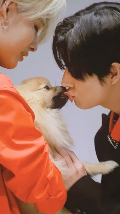 ni-ki playing with the dog even before their fansign event 🥺 #ni_ki #nishimurariki #enhypen #engene