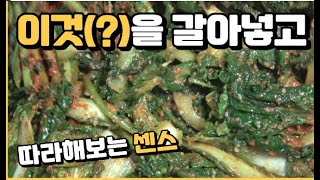 얼갈이열무김치집밥 ?을 갈아서 ?을 갈아서 만든 얼갈이열무김치 봄김치