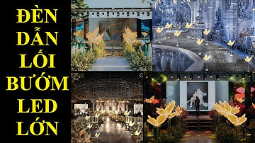 Review đèn bướm led lớn trang trí đám cưới | 0906491789