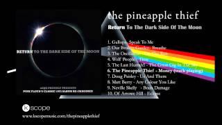 Pink Floyd - Money (The Pineapple Thief cover)
