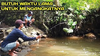 Banjiran Lele ini Rejekinya Tukang mancing