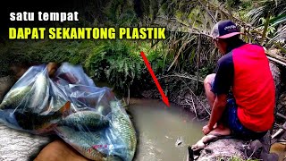 Dari Awal Sampai Akhir Strike Terus || Mancing Ikan Nilem Umpan Cacing Dari Awal Sampai Akhir Strike Terus || Mancing Ikan Nilem Umpan Cacing