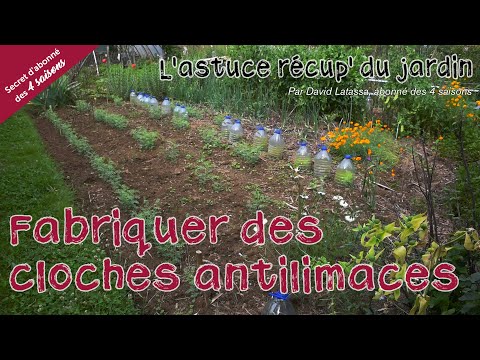 Vidéo: Cloches de jardin et cloches de jardin - Utiliser des cloches de fleurs dans le jardin