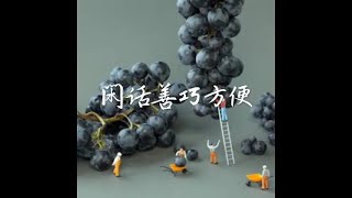 201702 闲话善巧方便40352