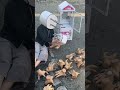 どんな状況でも息子の命を守り続ける父親の行動はなによりもかっこよかった