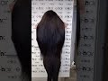 Τοποθέτηση extensions Πριν & Μετά!