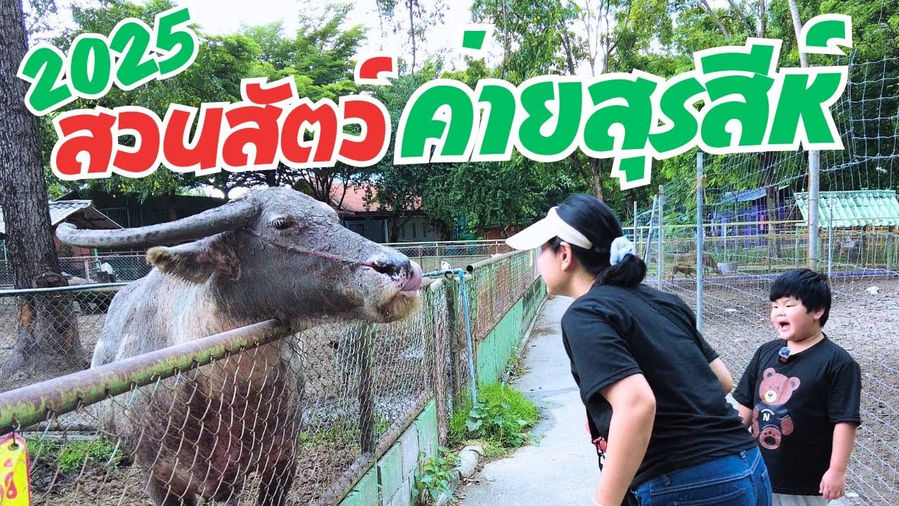สวนสัตว์ค่ายสุรสีห์ กาญจนบุรี สวนสัตว์เข้าชมฟรี มีอะไรดีบ้าง อย่างรู้ จอมทัพกับแม่จั๊บ จะพาไปชม 2025