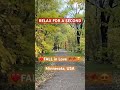Be #calm #relax #relaxingmusic #relaxingsounds #fall #autumnfoliage #autumnleave #autumn #meditation