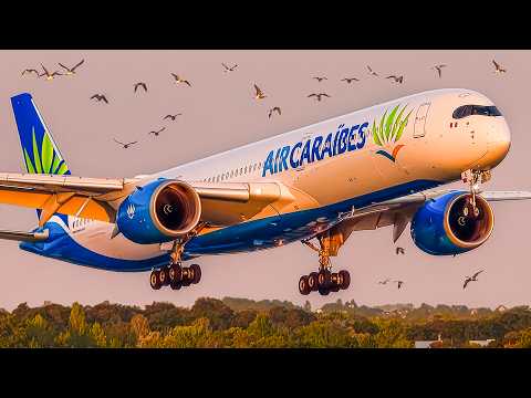 ✈️ 60 CLOSE UP Airplane TAKEOFFS & LANDINGS 🇫🇷 PARIS Orly Airport Plane Spotting [ORY/LFPO]