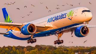 ✈️ 60 CLOSE UP Airplane TAKEOFFS & LANDINGS 🇫🇷 PARIS Orly Airport Plane Spotting [ORY/LFPO]