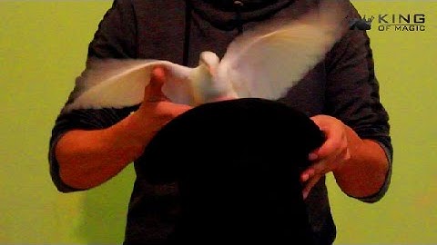Dove from Hat - Magic Trick Revealed (Tutorial Video)