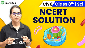 Class 8 Science Chapter 8 | NCERT Solutions - Cell Structure and Functions