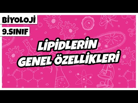 9. Sınıf Biyoloji - Lipidlerin Genel Özellikleri | 2022