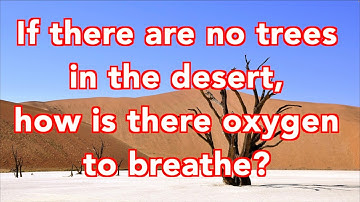 The Amazing World of Oxygen