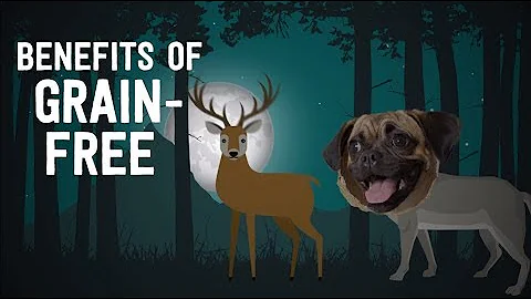 The Benefits of Grain-Free Diets for Pets