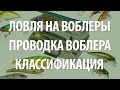 ВОБЛЕРЫ: ЛОВЛЯ НА ВОБЛЕР ДЛЯ НАЧИНАЮЩИХ - ТЕХНИКА ПРОВОДКИ ВОБЛЕРОВ