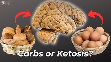 Can You REALLY Live Without Carbs? Shocking Truth About Ketosis & Exercise