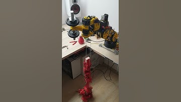 Lifting 9.5kg - but not with the wrist - artysta automatyk