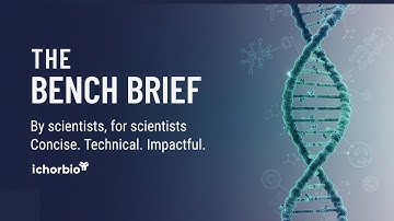 The Bench Brief Intro