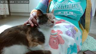 Kitkat Playroom: Etsy Climbs onto Snuggler Cyndi's Lap