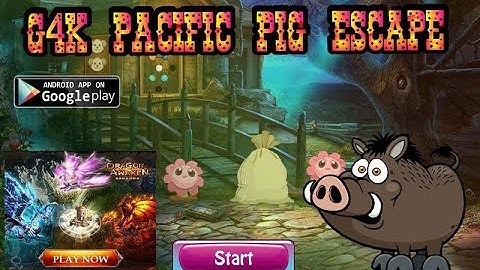G4K Pacific Pig Escape Walkthrough [Games4King]