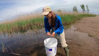 Herpetologist Jessica Ford (Get to Know a Scientist!)