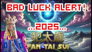 Fate 運気爆発 タイガーストラップ 5個セット Fate 運気爆発 タイガーストラップ 5個セット
