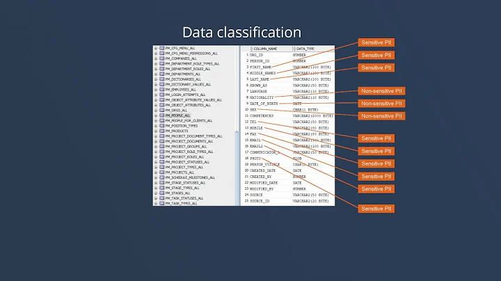 Sensitive Data Discovery and Classification - Dataedo 7.5