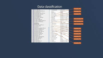 Sensitive Data Discovery and Classification - Dataedo 7.5