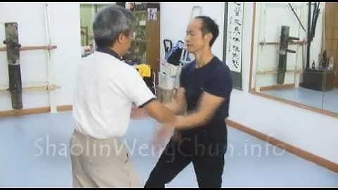 Tang Family Weng Chun Two Man