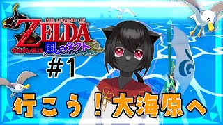 【ゼルダの伝説　風のタクト】化け猫が行く大海原への冒険譚　PART1