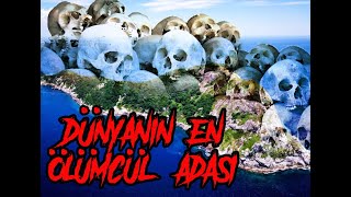 Dünyanın En Ölümcül Adası - Ilha de Queimada Grande