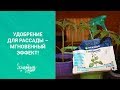 Удобрение для рассады – мгновенный эффект!