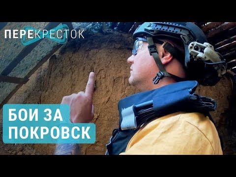 YouTube видео