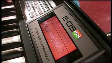 Roland E 09 IN