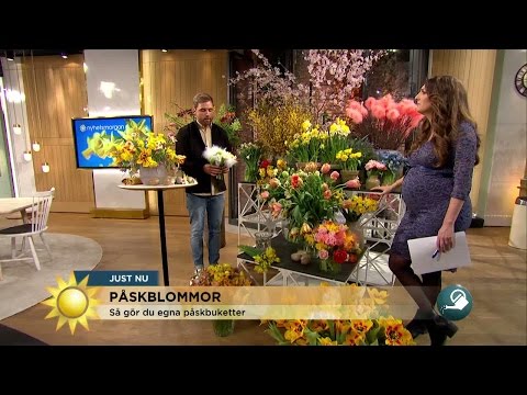 Så gör du vackert med blommor till påsk - Nyhetsmorgon (TV4)