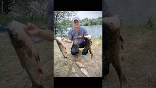 #рибалка #fishing #товстолоб #carpfishing #спінінг #літо