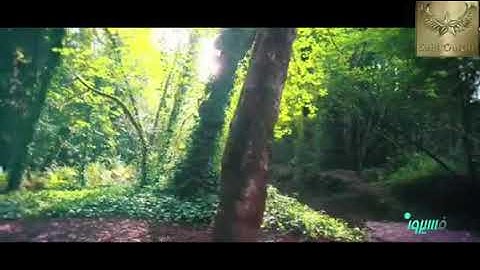 ترتيل الربع الثالث 03 من الحزب 23 من : { سورة هود }