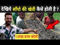 चीन में ऐसे होती है साँपो की खेती | Snake Farming In China Village | Snake Farming Video