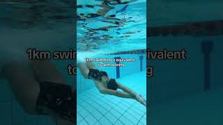 Why Swimming Is the Ultimate Full-Body Workout 🏊‍♀️ Guide
