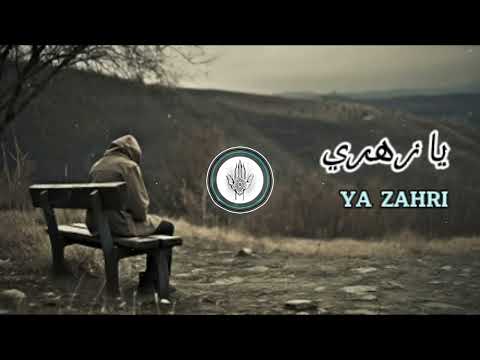   يا زهري     