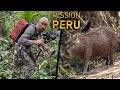Die JAGD nach den SELTENSTEN TIEREN des peruanischen Dschungels | Folge 1