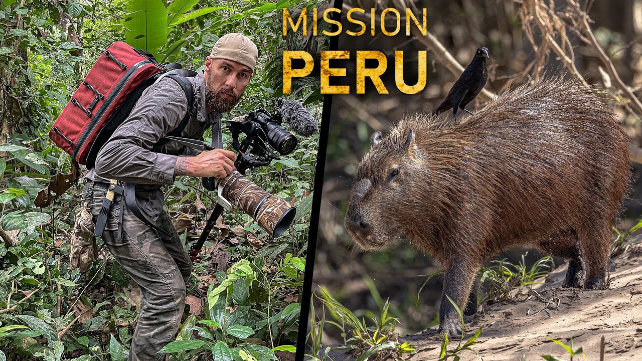 Die JAGD nach den SELTENSTEN TIEREN des peruanischen Dschungels | Folge 1