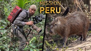 The HUNT for the RAREST CREATURES of the peruvian jungle | Episode 1